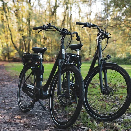 Hotel Hotel Heemskerk 4*