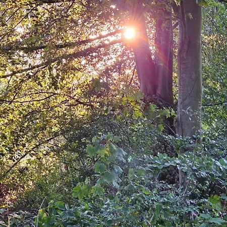 Hotel Heemskerk Hotel