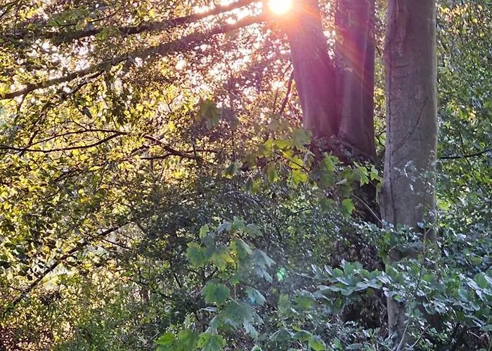 Hotel Heemskerk Hotel